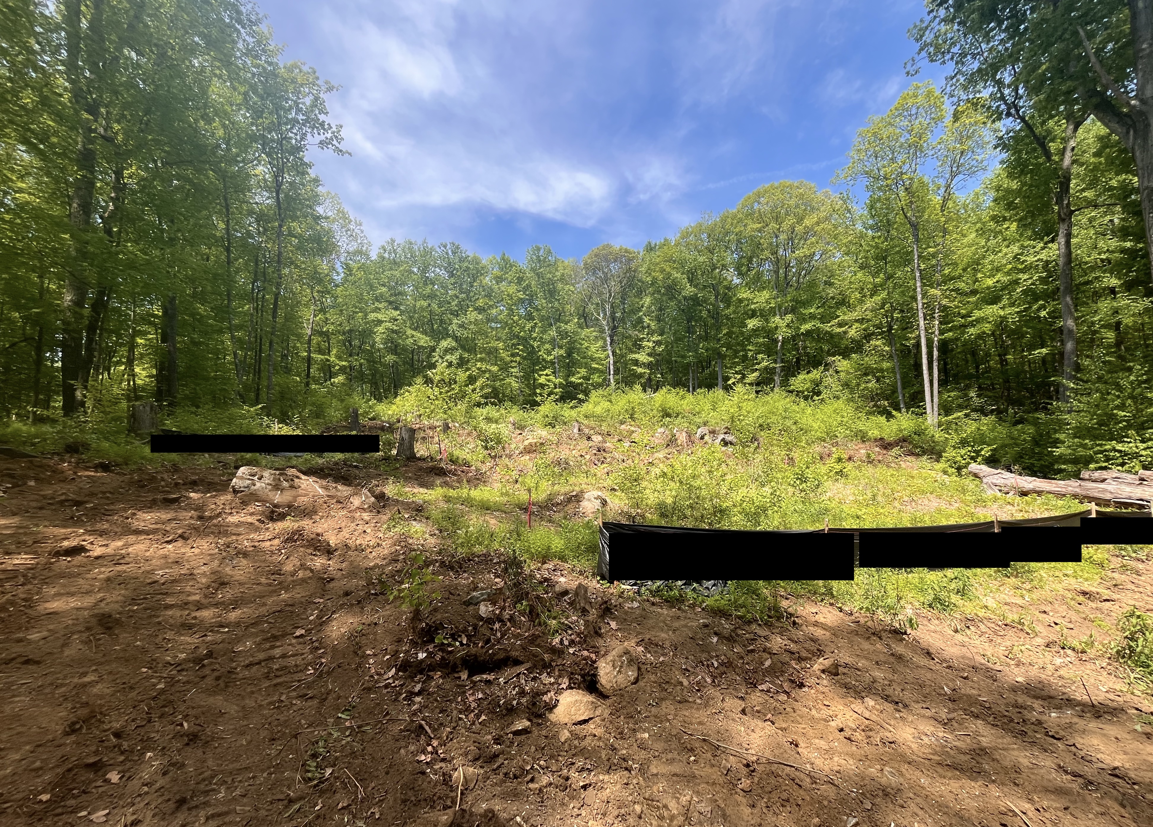 partially cleared lot