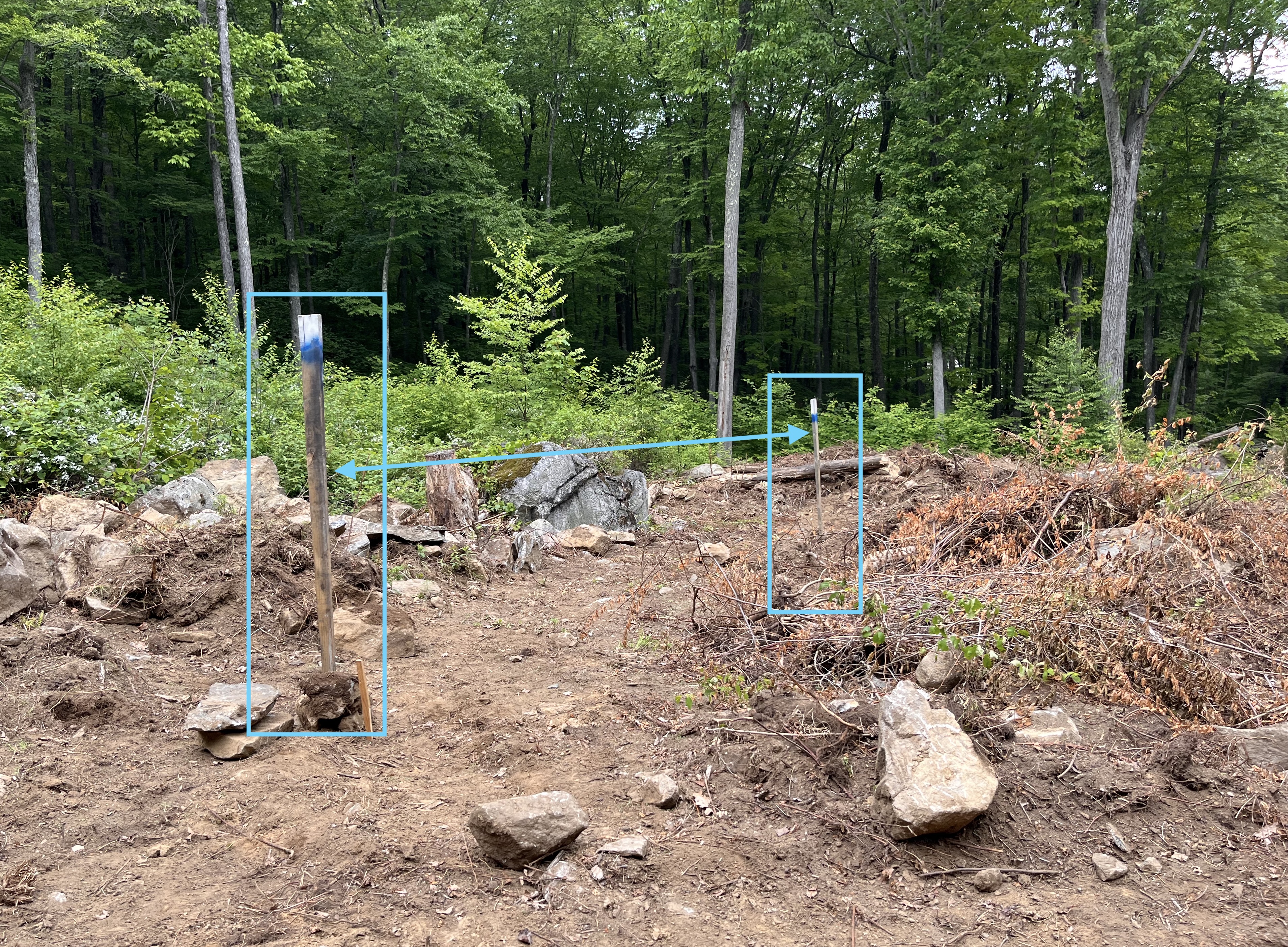 We added some posts to identify the area that needs to be cleared and dug out some tall posts we added